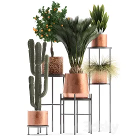 Plant collection copper pot